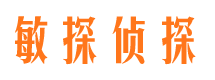 光山侦探公司